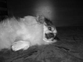 Charlie