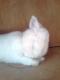 Jessina