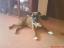 Oliver alias Olda