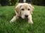 Abby