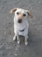 Lilly Lilly