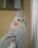 Filip