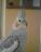Filip