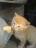 ♥ღ Macek :3  ღ♥