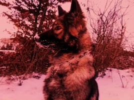 Deminka♥