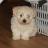 Bastien