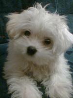 Keisy Keisy