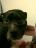Charlie