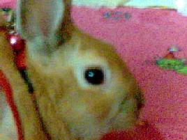 PRINC PRINC