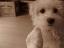Charlie