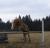 Lorien