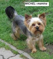 Michel Michel