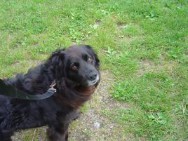 Ben