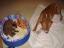 DOGGY DOG´S CREONA