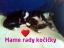 Shirley
