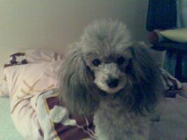 Peggy