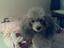 Peggy
