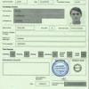 Get IELTS, TOEFL, PTE, CPSO, Degree &amp; other documents 100% authentic